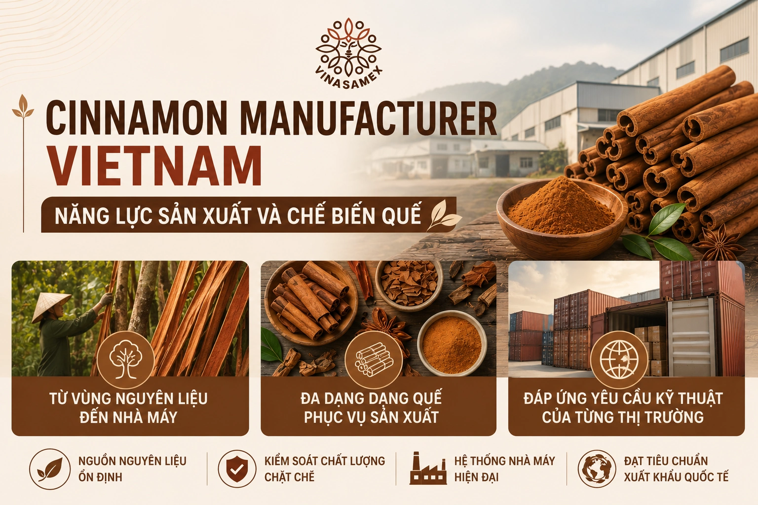 Cinnamon Manufacturer Vietnam - Năng lực sản xuất và chế biến quế