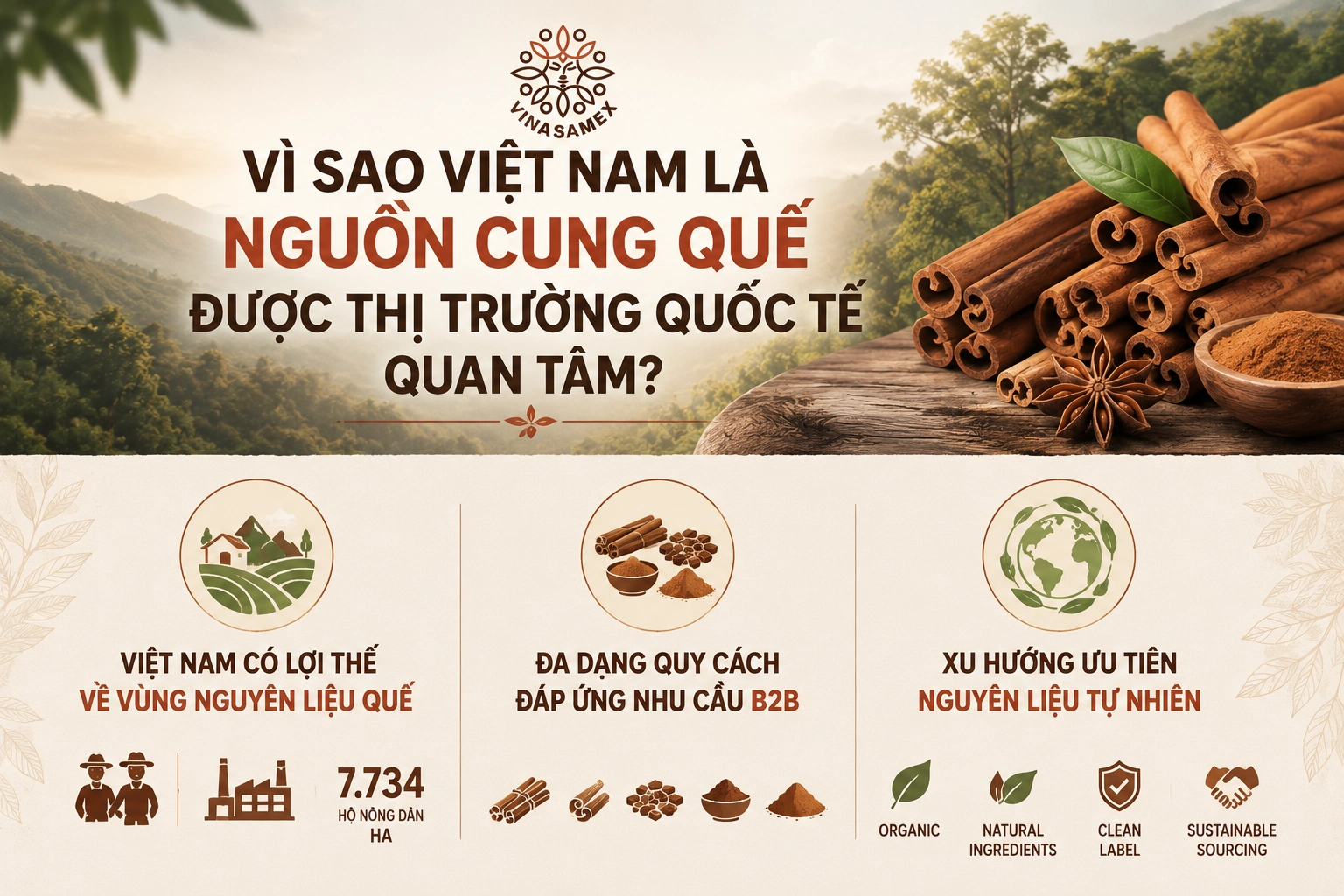 Vì sao Việt Nam là nguồn cung quế được thị trường quốc tế quan tâm