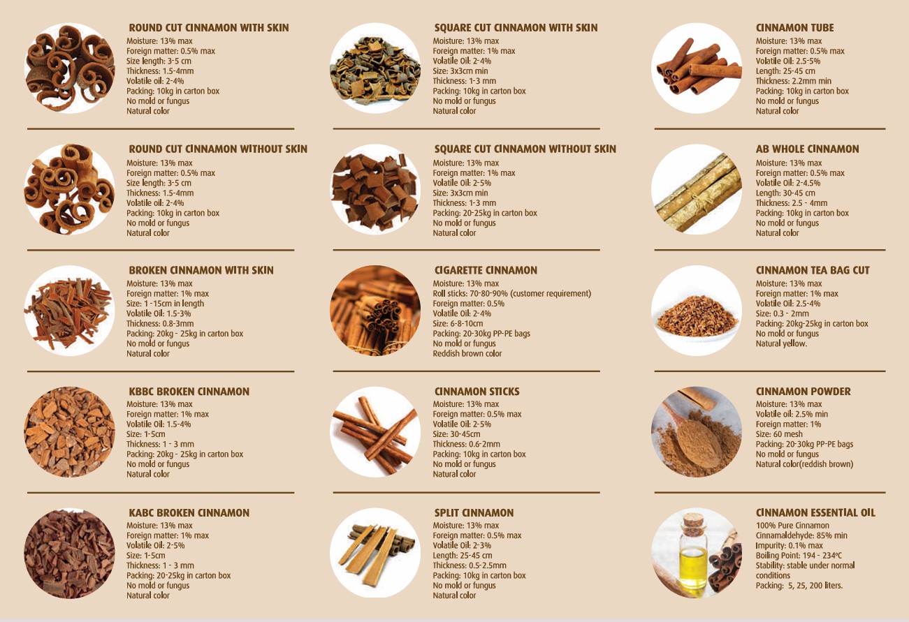 các loại quế (types of cinnamon)