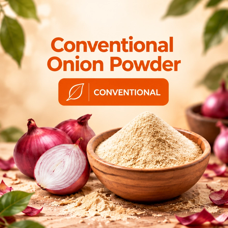 Conventional Onion Powder Conventional Onion Powder