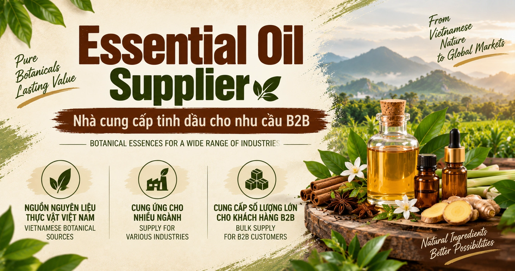 Essential Oil Supplier - Nhà cung cấp tinh dầu cho nhu cầu B2B