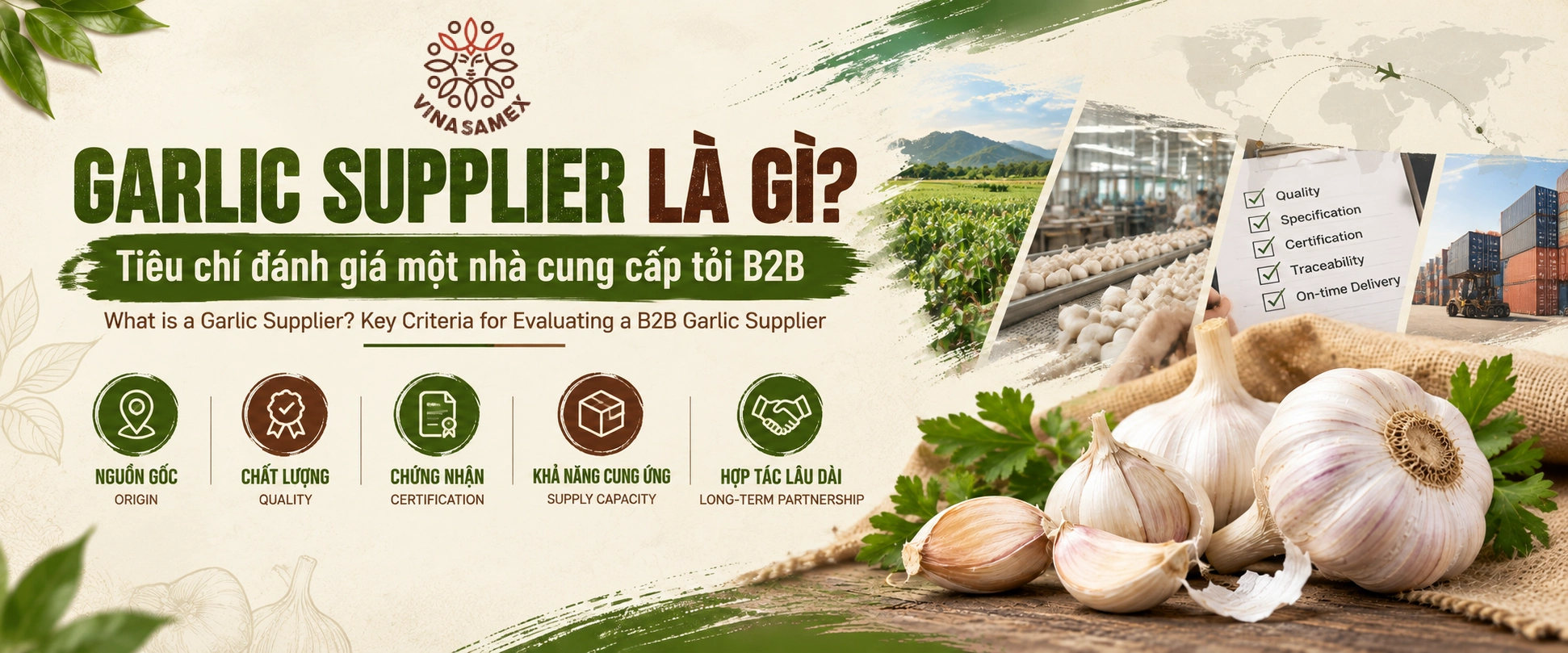 Garlic Supplier là gì Tiêu chí đánh giá một nhà cung cấp tỏi B2B