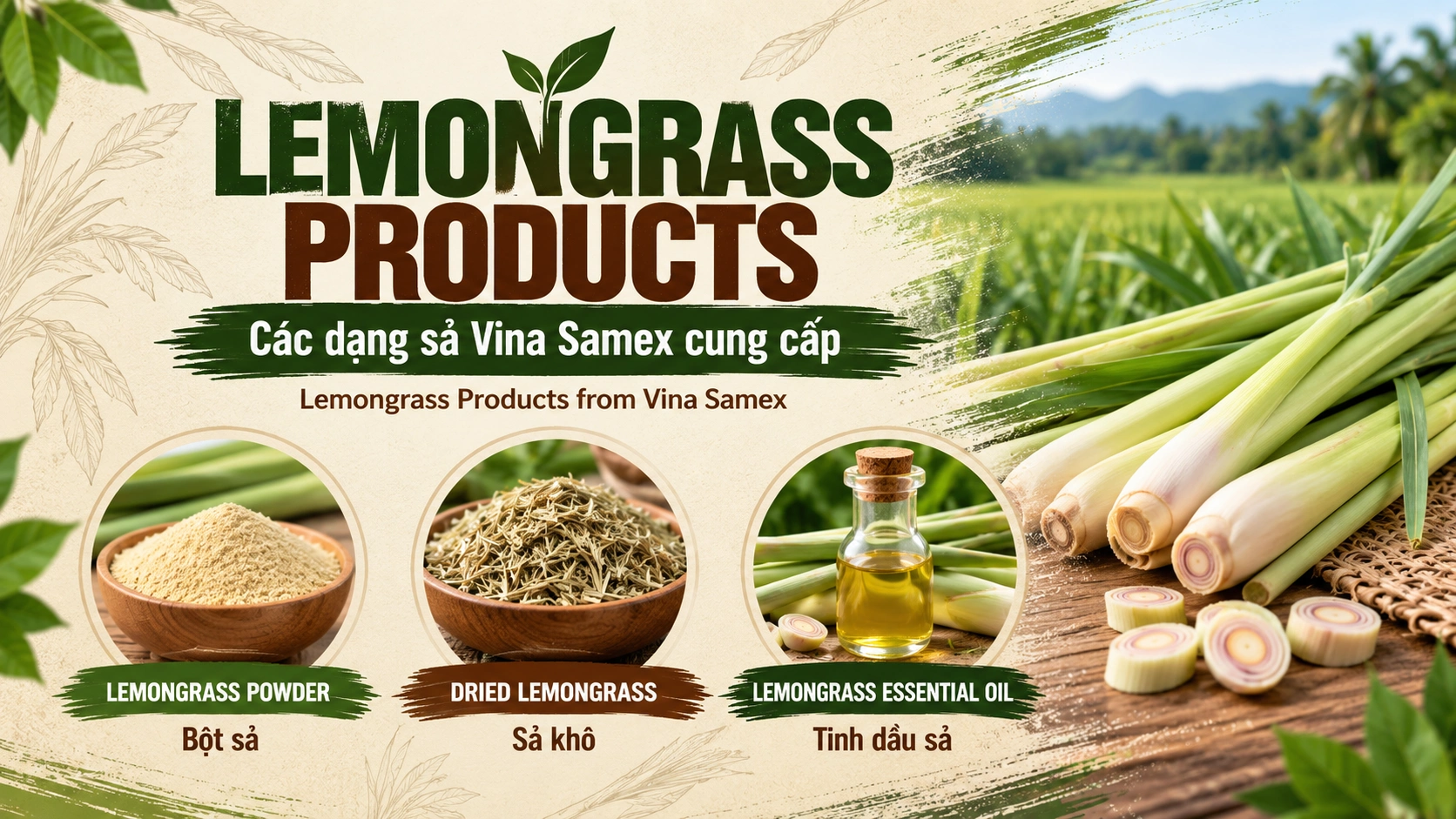 Lemongrass Products - Các dạng sả Vina Samex cung cấp