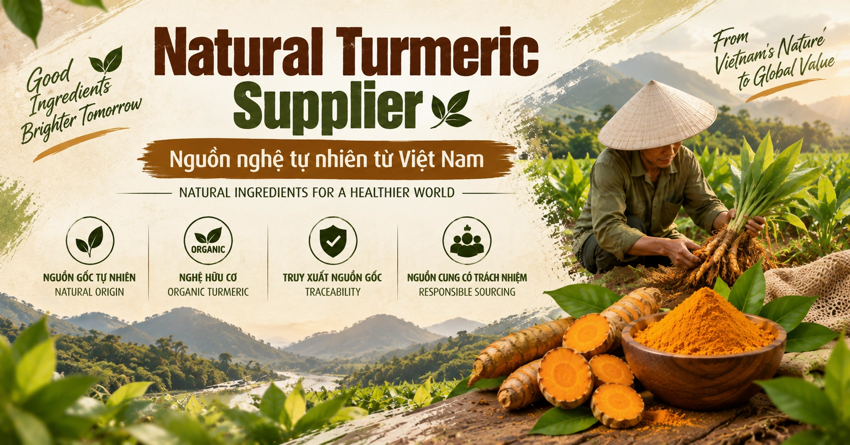 Natural Turmeric Supplier - Nguồn nghệ tự nhiên từ Việt Nam