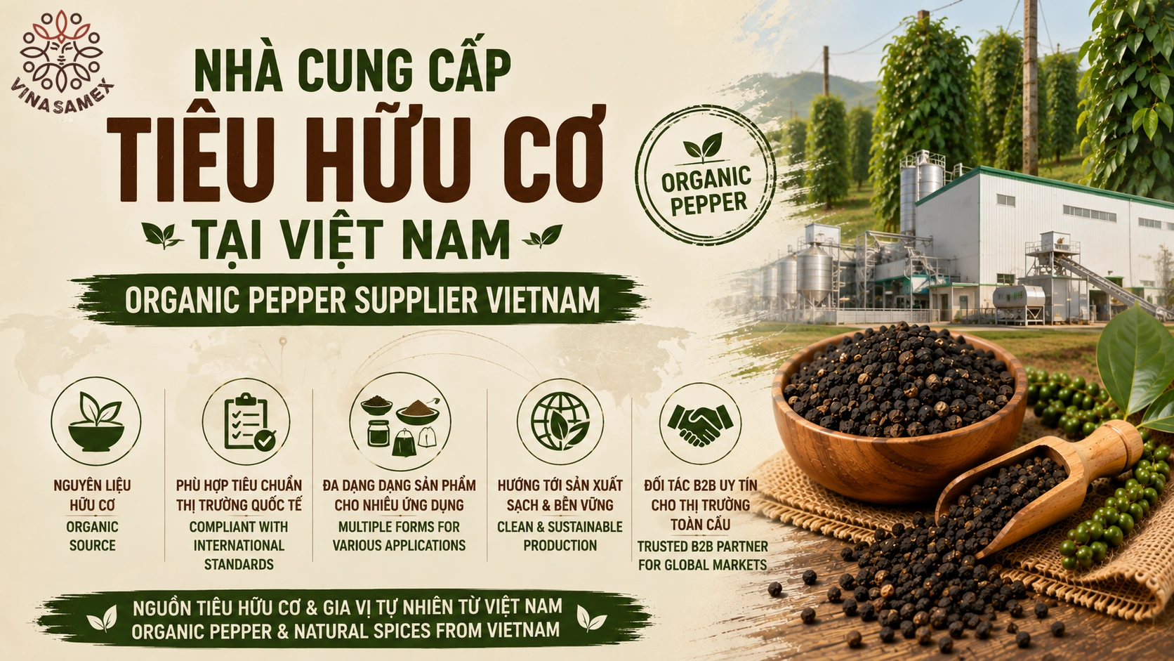Nhà cung cấp tiêu hữu cơ tại Việt Nam (Organic Pepper Supplier Vietnam)