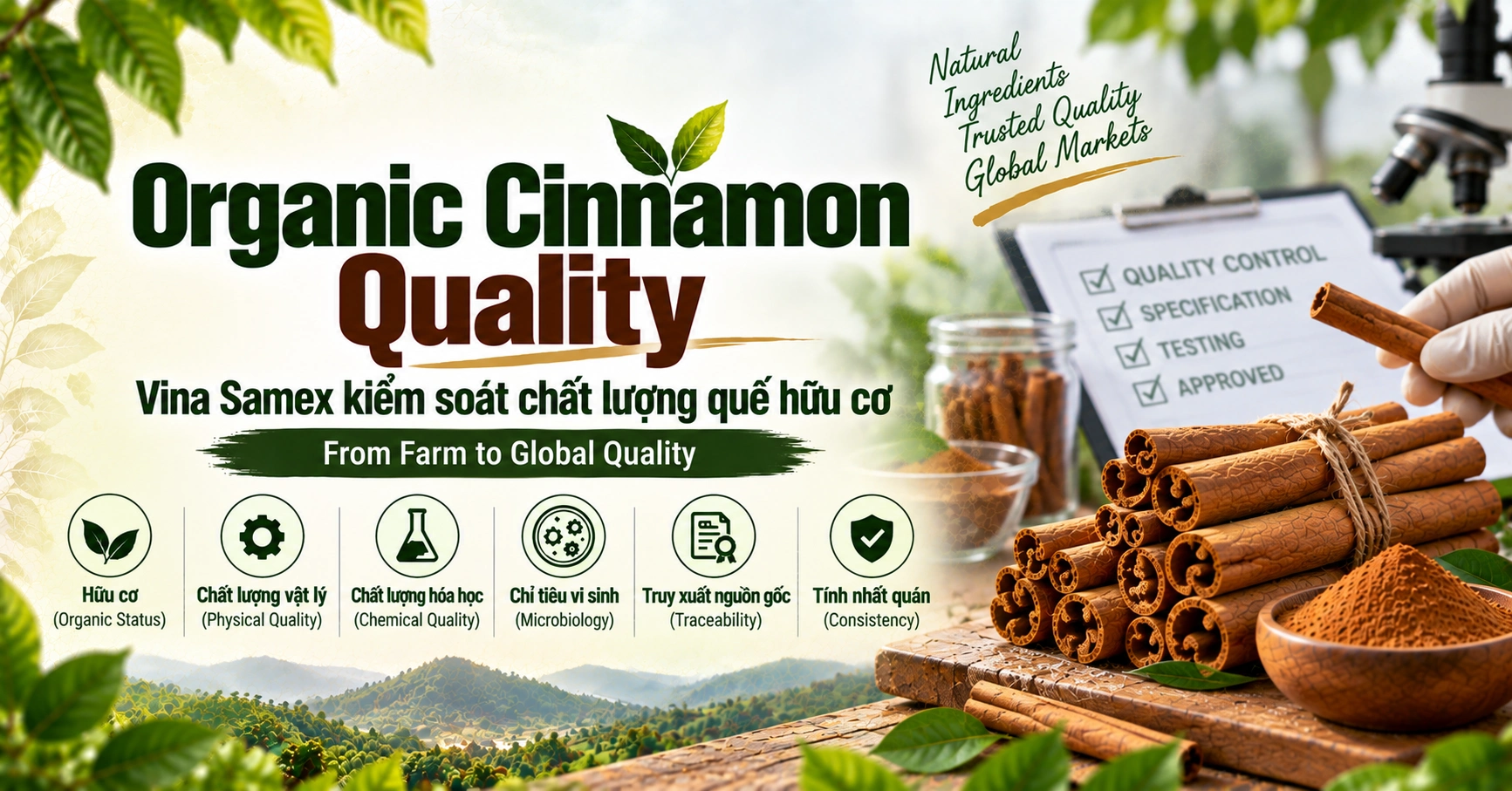 Organic Cinnamon Quality - Vina Samex kiểm soát chất lượng quế hữu cơ