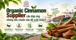Organic Cinnamon Supplier cần đáp ứng những tiêu chuẩn nào để xuất khẩu dd