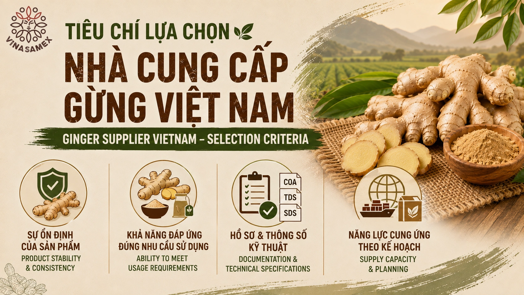 Tiêu chí lựa chọn nhà cung cấp gừng Việt Nam (Ginger Supplier Vietnam)