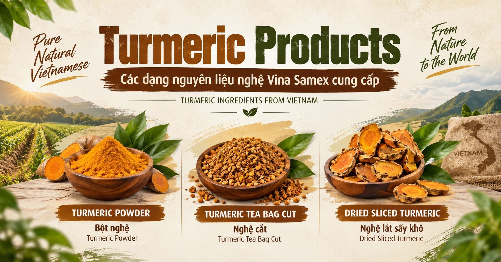 Turmeric Products - Các dạng nguyên liệu nghệ Vina Samex cung cấp