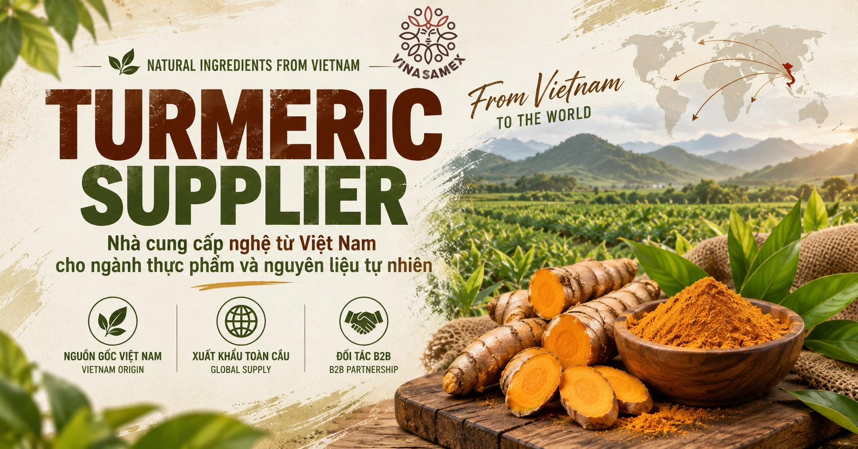 Turmeric Supplier - Nhà cung cấp nghệ từ Việt Nam cho ngành thực phẩm và nguyên liệu tự nhiên
