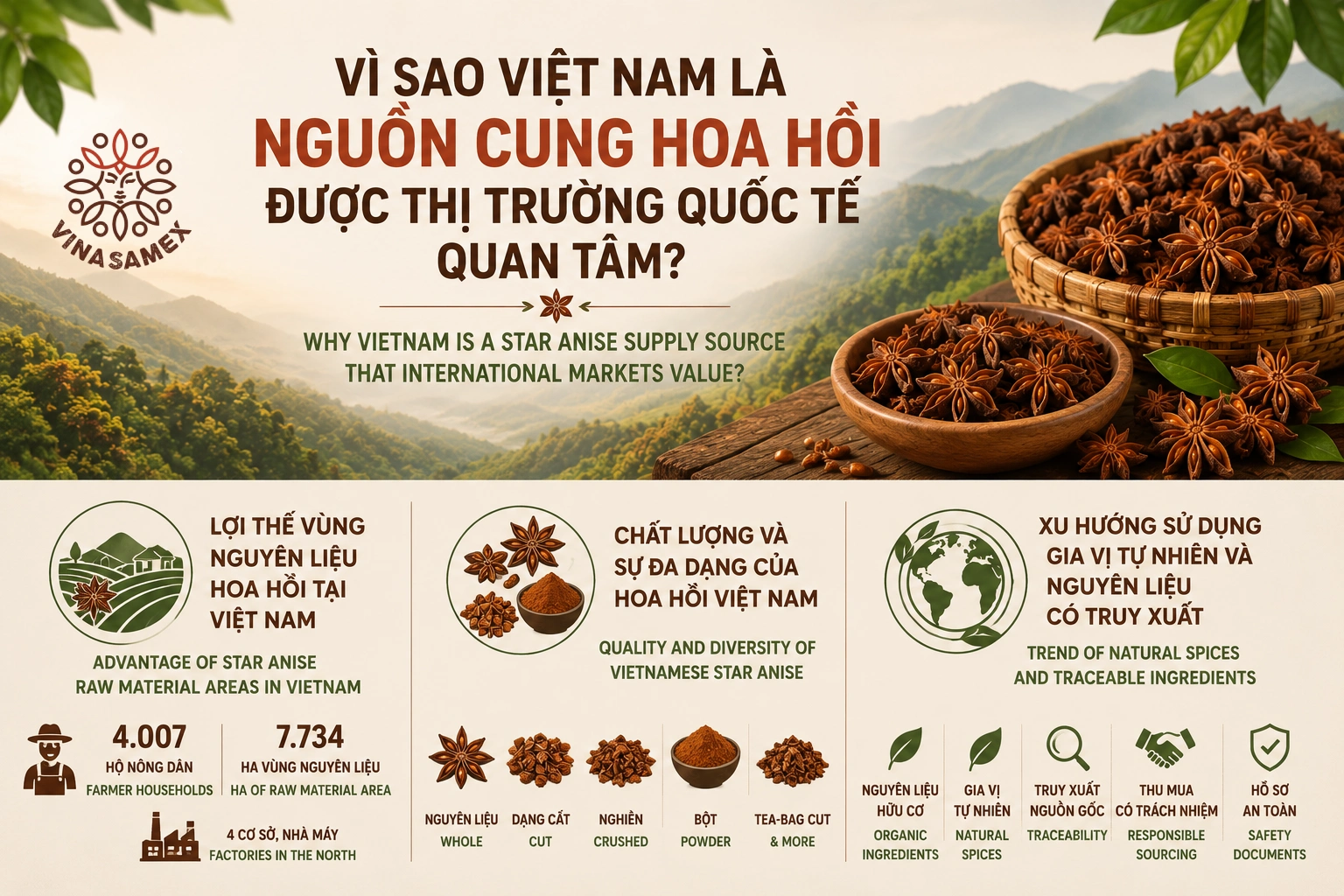 Vì sao Việt Nam là nguồn cung hoa hồi được thị trường quốc tế quan tâm