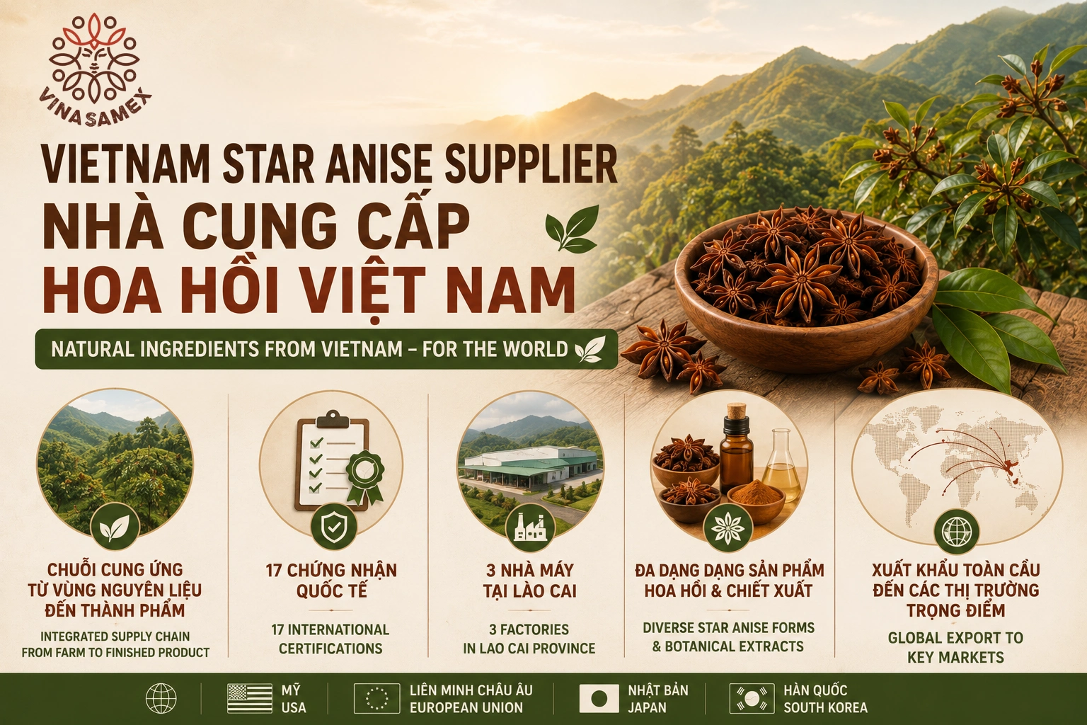 Vietnam Star Anise Supplier - Nhà cung cấp hoa hồi Việt Nam