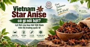 Vietnam Star Anise có gì nổi bật Lợi thế của hoa hồi Việt Nam trên thị trường quốc tế dd