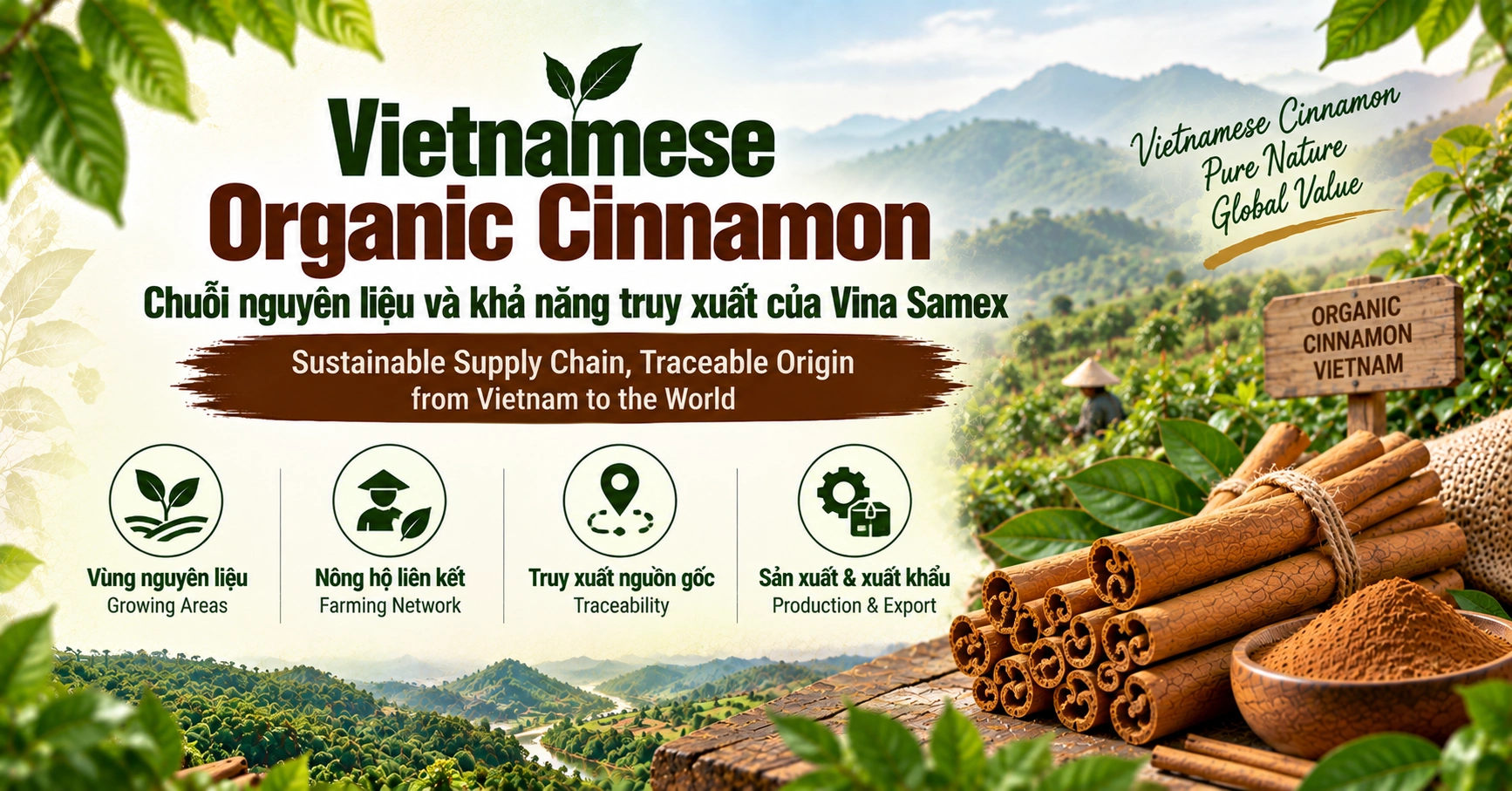 Vietnamese Organic Cinnamon - Chuỗi nguyên liệu và khả năng truy xuất của Vina Samex