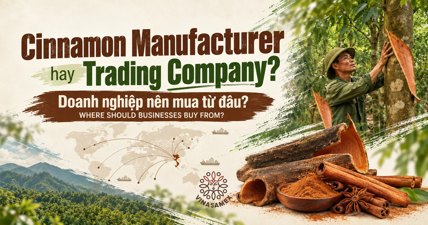 Cinnamon Manufacturer hay Trading Company? Doanh nghiệp nên mua từ đâu?