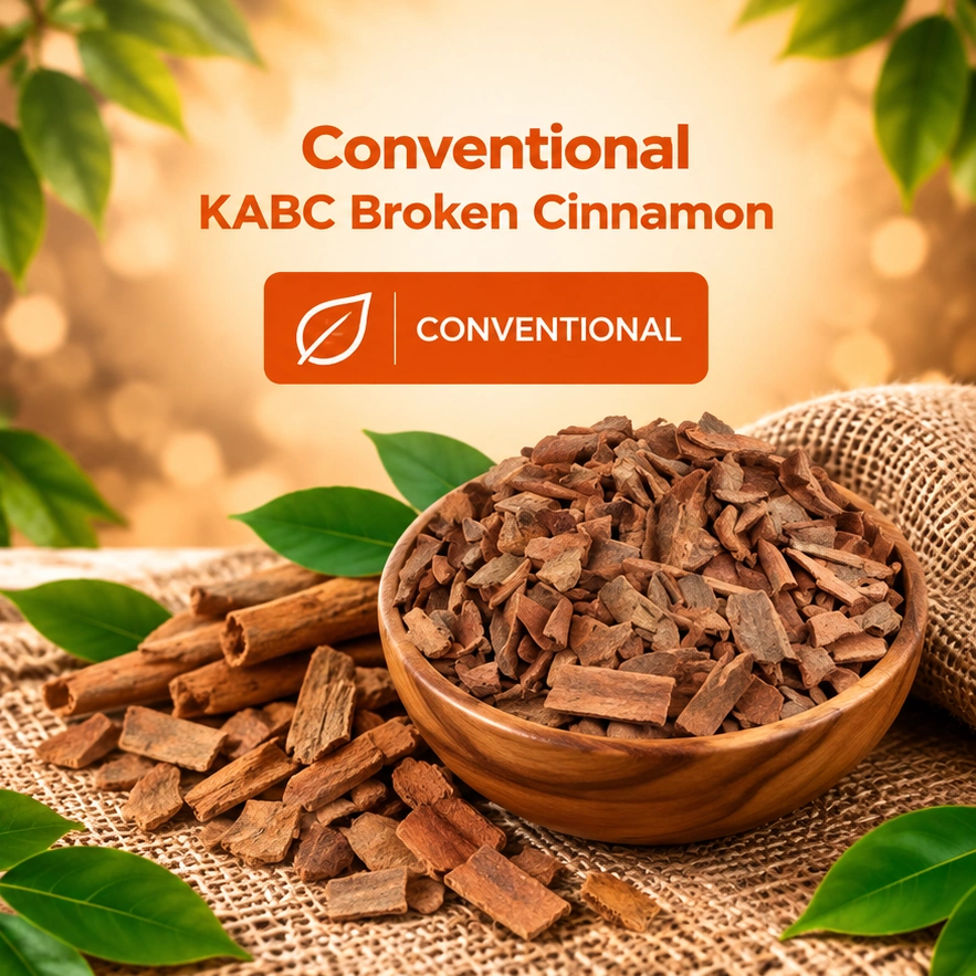 Conventional KABC Broken Cinnamon Conventional KABC Broken Cinnamon