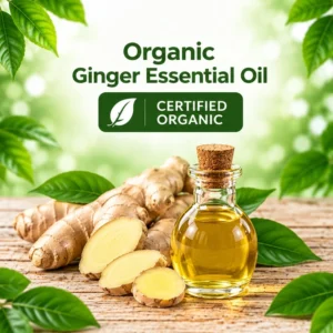 Ginger Essential Oil