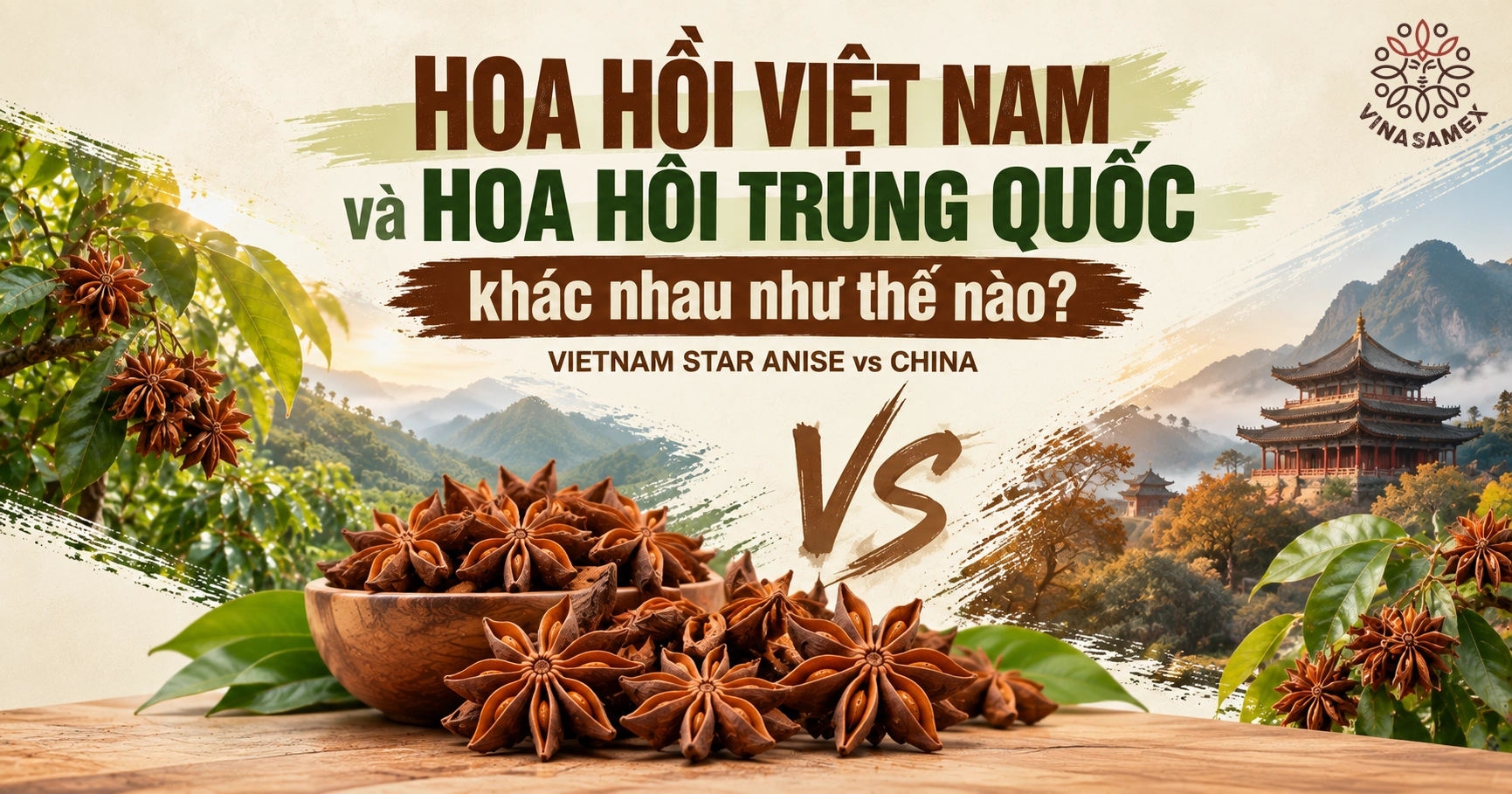 Hoa hồi Việt Nam và hoa hồi Trung Quốc khác nhau như thế nào? (Vietnam Star Anise vs China)