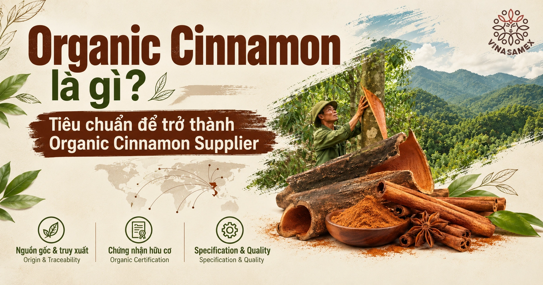 Organic Cinnamon là gì? Tiêu chuẩn để trở thành Organic Cinnamon Supplier